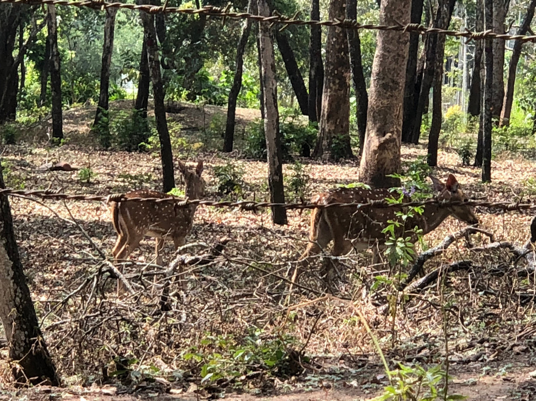 Marayoor Holidays主图