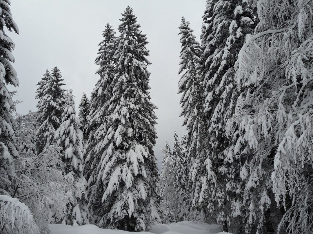 Station de Ski des Rousses-Les Rousses必去景点