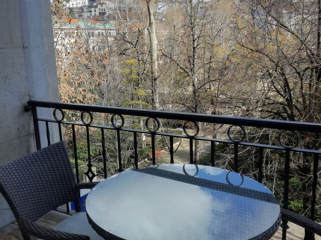 昆卡阿方索八世酒店主图