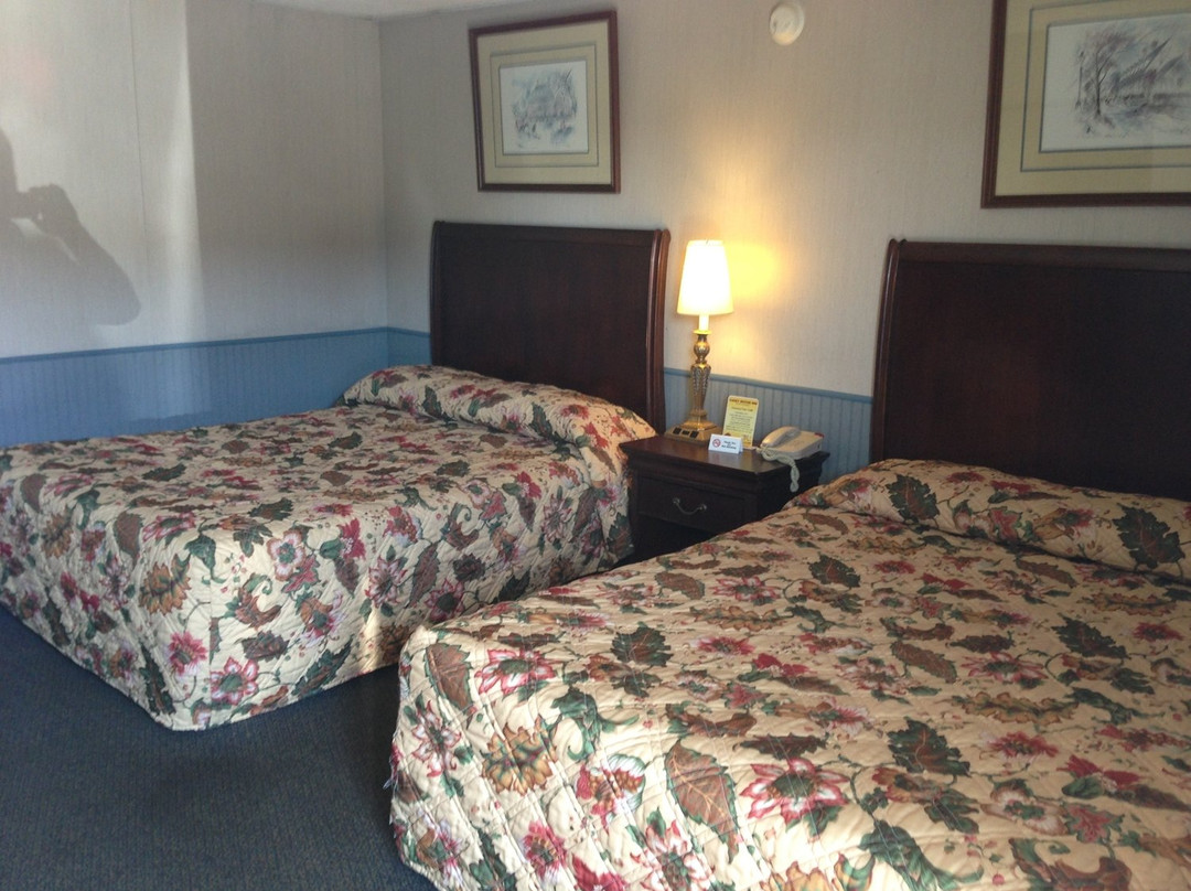 Cadet Motor Inn主图