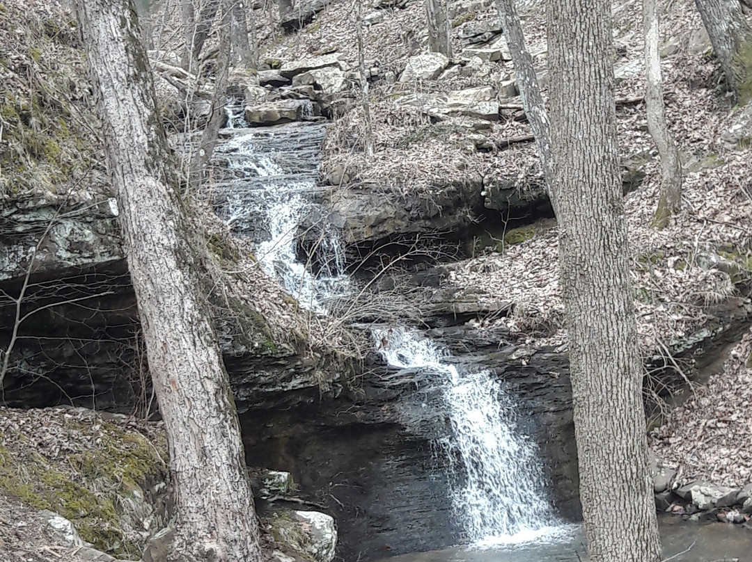 Land Trust of North Alabama-亨茨维尔必去景点