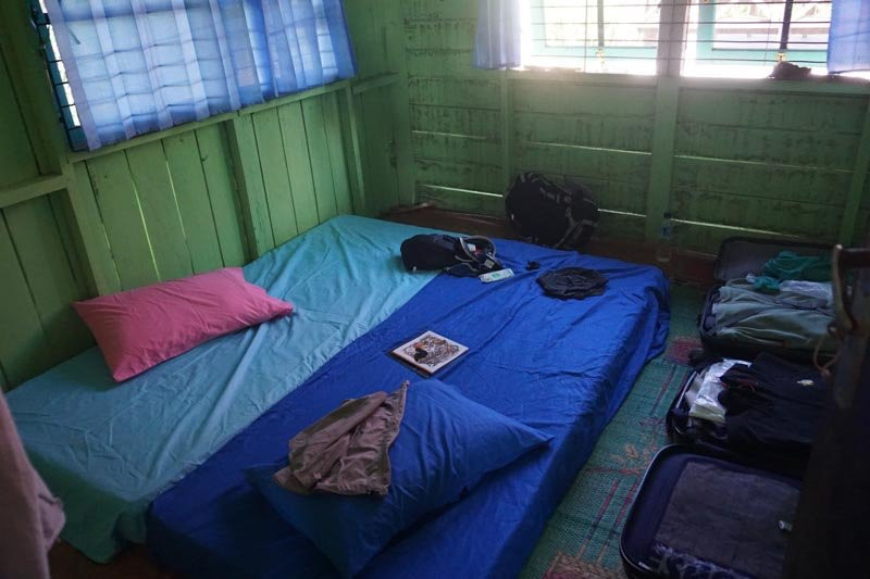 Sebangau National Park Central Kalimantan-帕朗卡拉亚必去景点