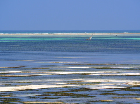 Marafiki Bungalows主图