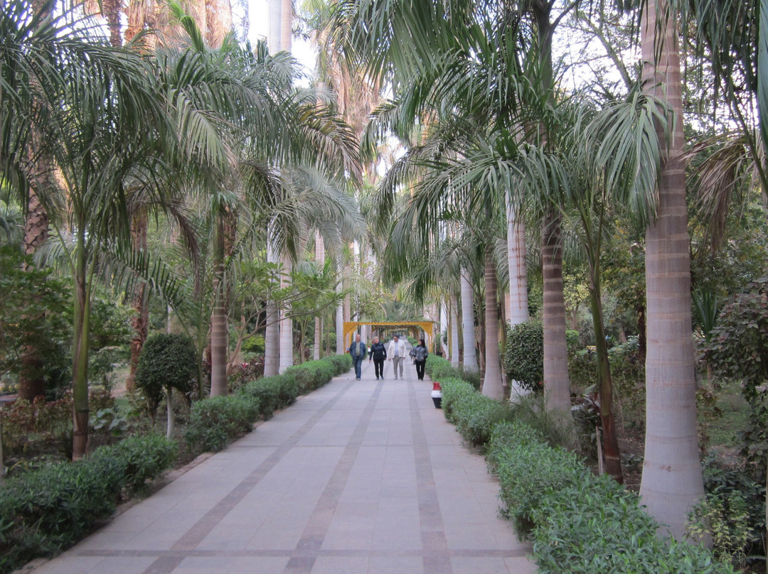 Aswan Botanical Garden景点图片