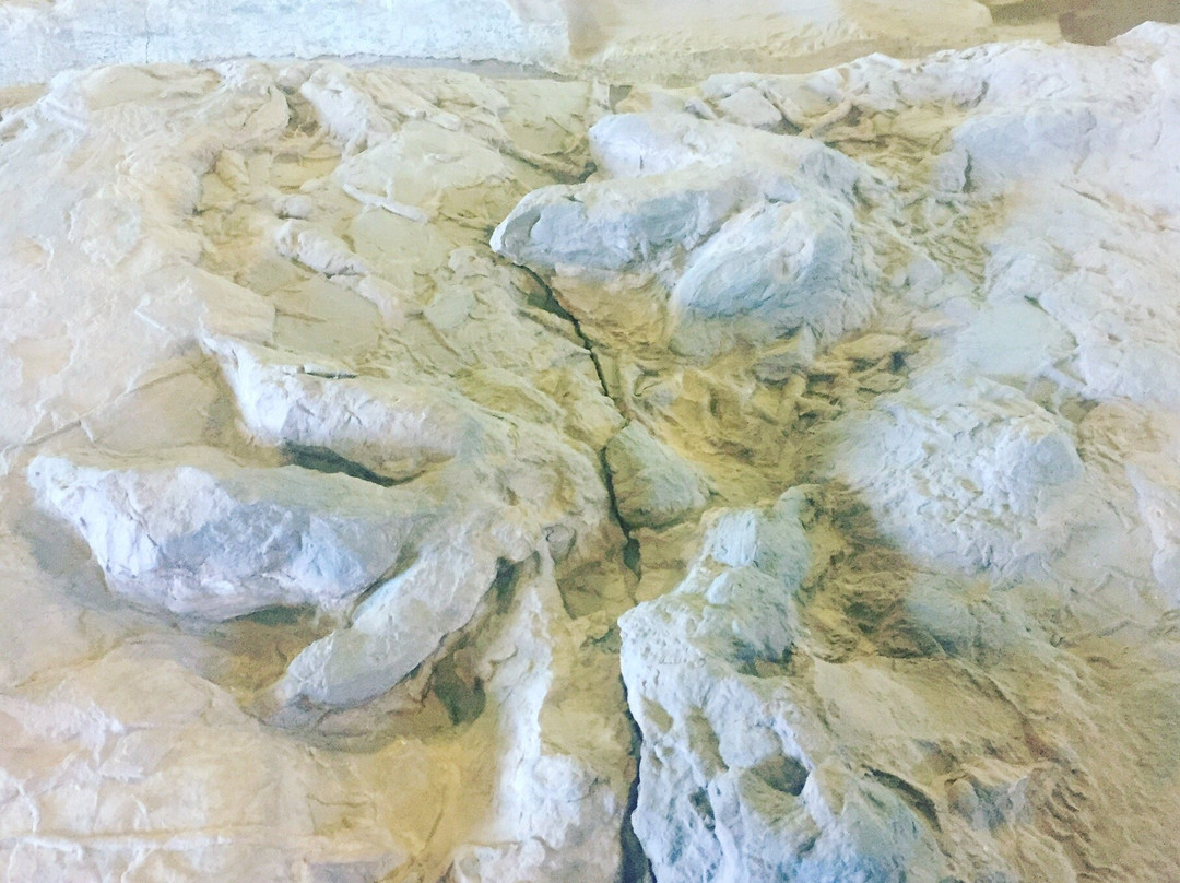 Rosenbruch World Wildlife Museum-圣乔治必去景点