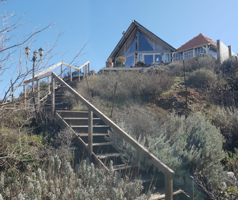 The Moving Castles主图