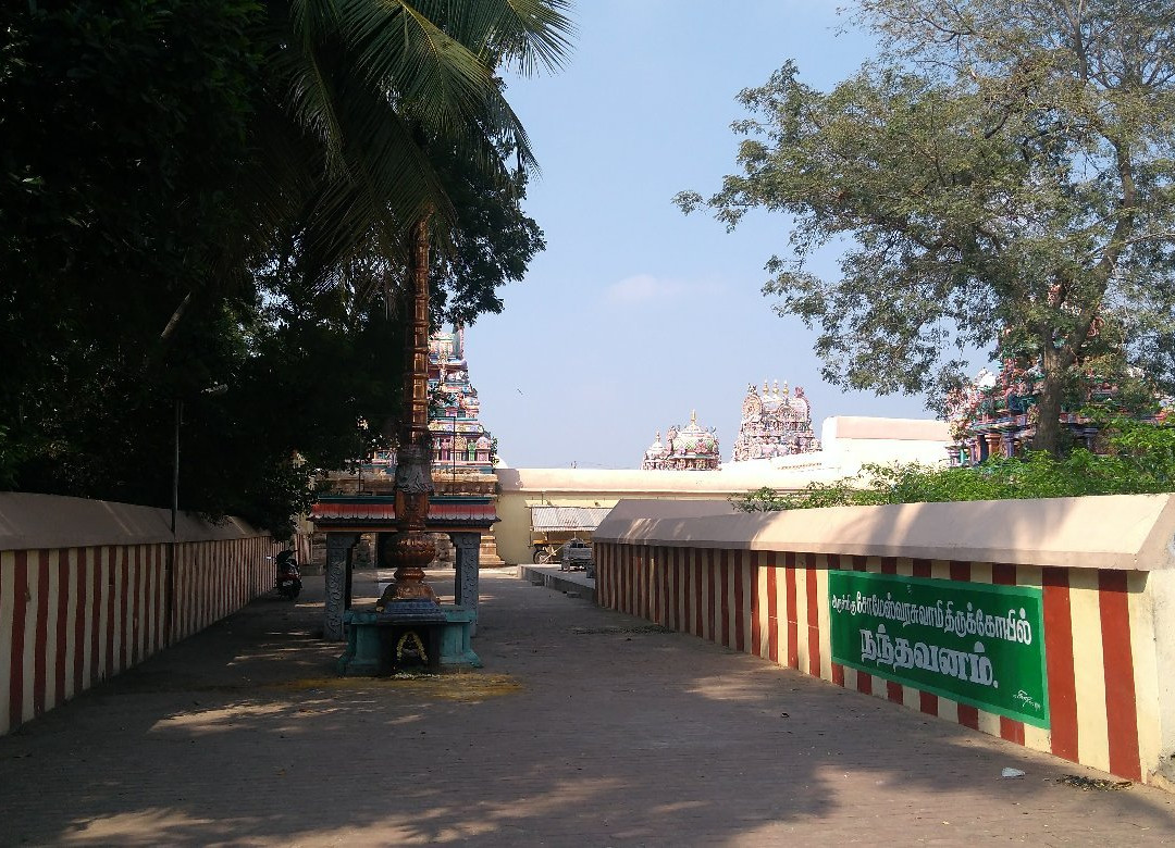 Sri Someswar Temple景点图片