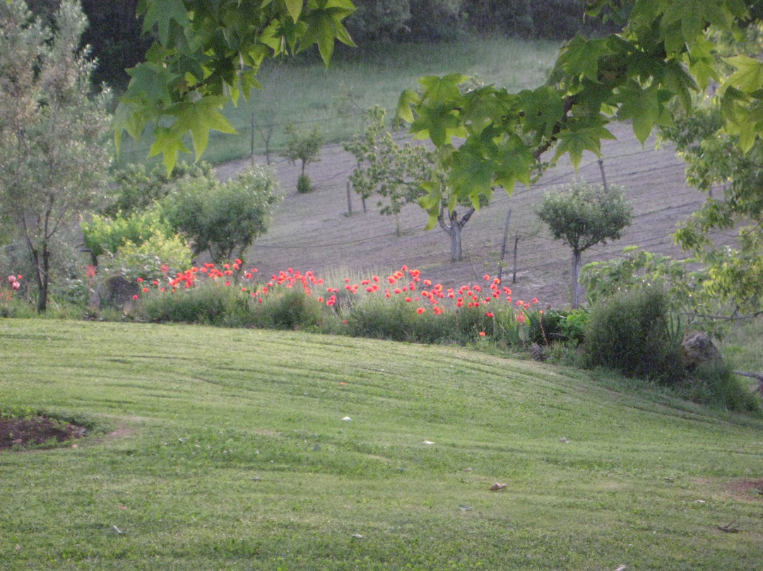 Suncave Gardens主图