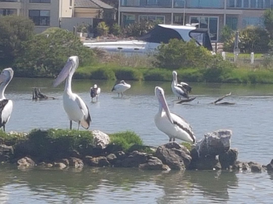 The Goolwa Boating Experience-Goolwa必去景点