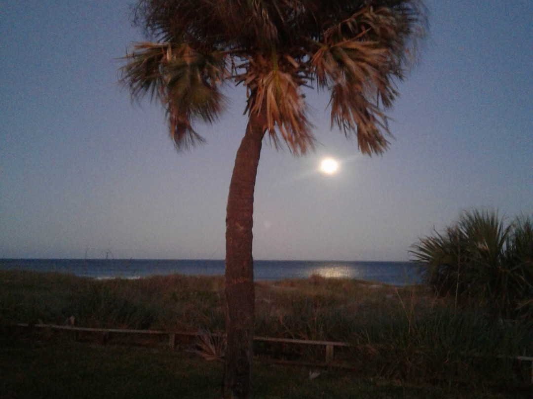 Sea Aire Motel主图