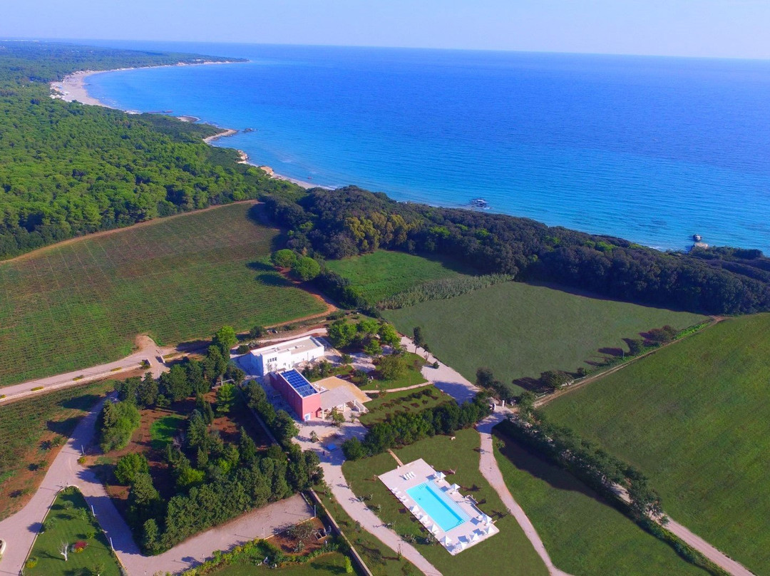 Masseria Mongio dell'Elefante主图