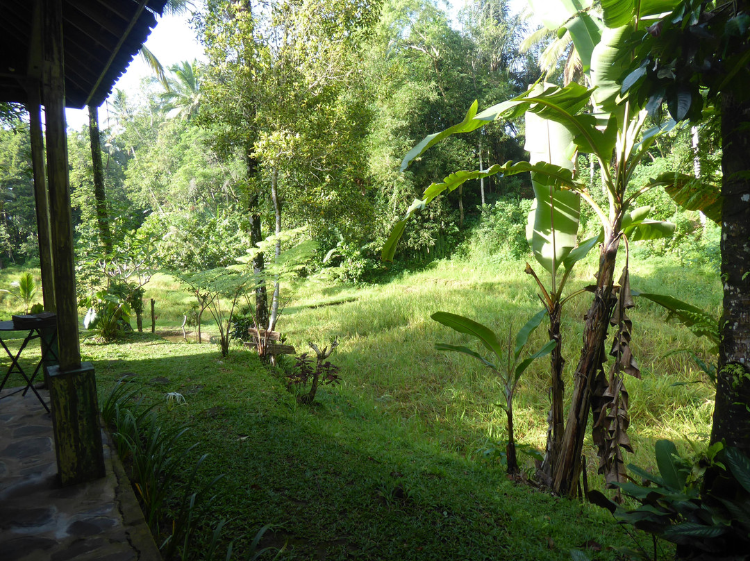Tepi Sawah Lodge & retreat主图