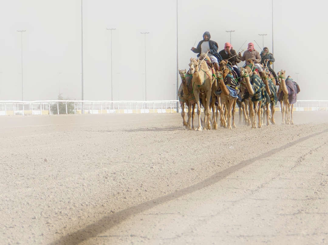 Al Shahaniya Racetrack-Ash-Shahaniyah必去景点