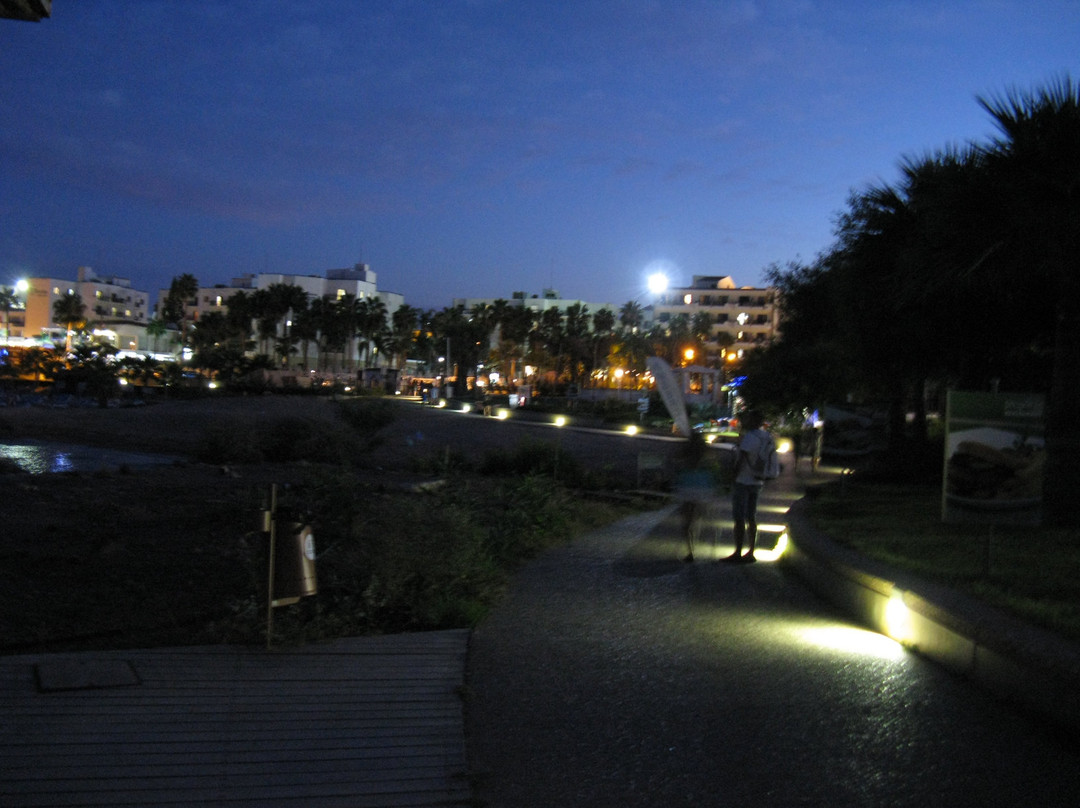 Protaras Coastal Promenade景点图片