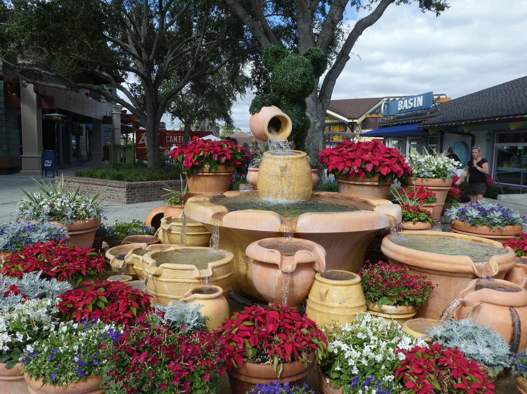 Basin at Disney Springs Marketplace景点图片