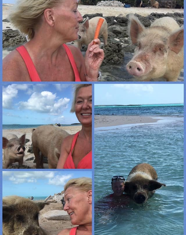 Pig Beach-大埃克苏马必去景点