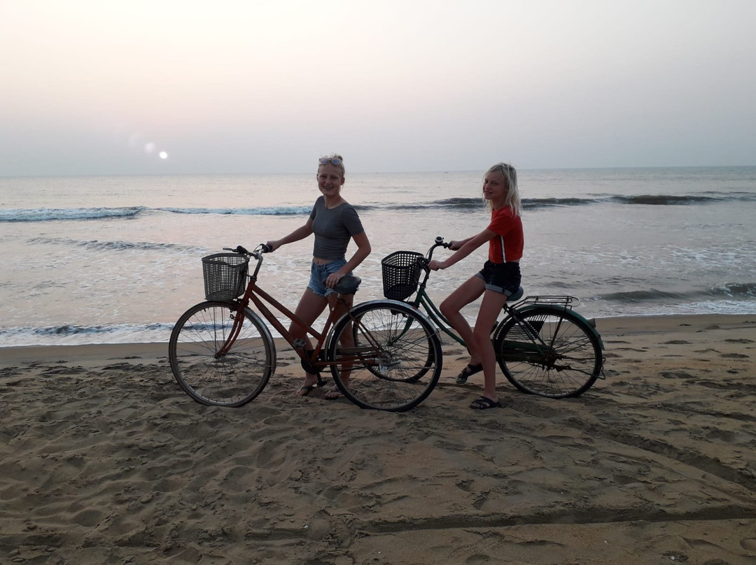 Ging Oya Lodge主图