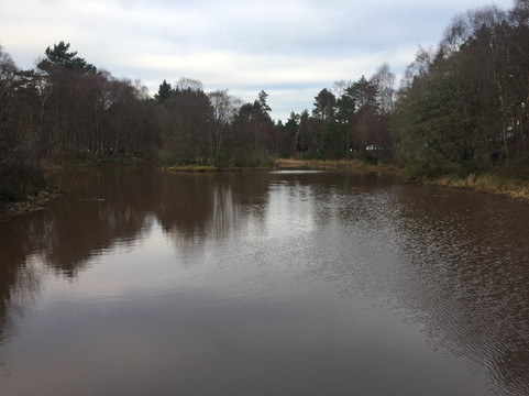 Crannoch-hill Loch-Buckie必去景点
