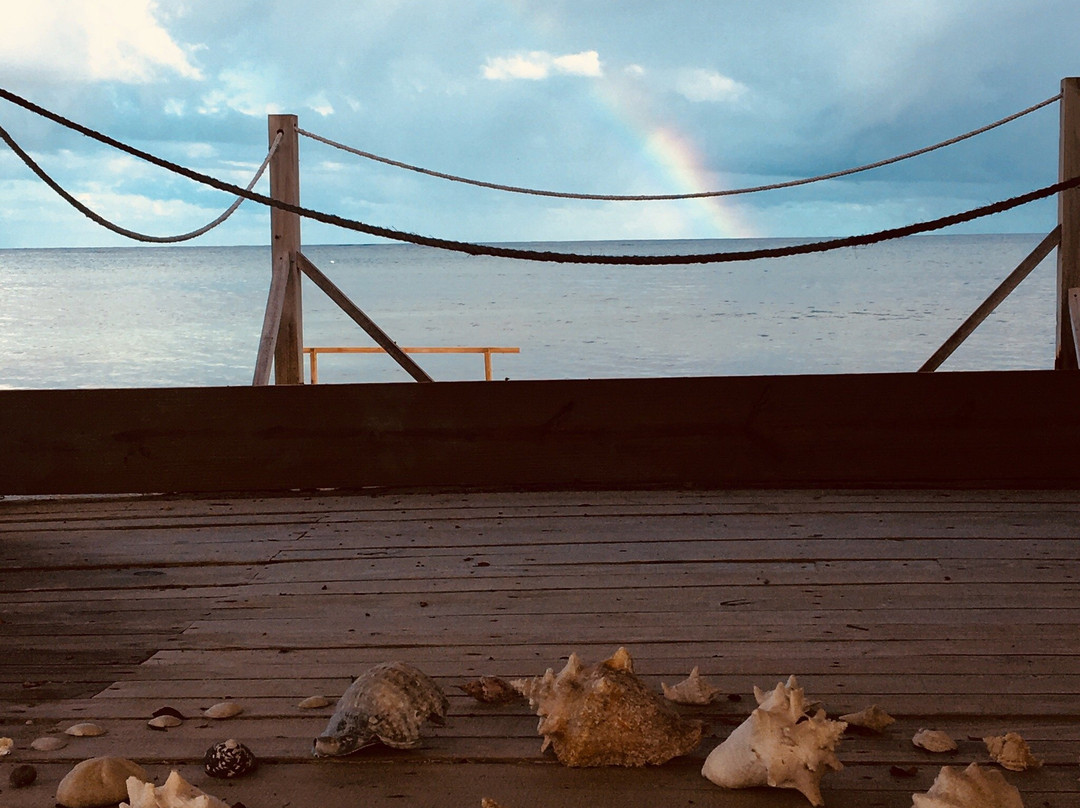 Cayo Arena Beach  Eco-Friendly (Adults Only)主图