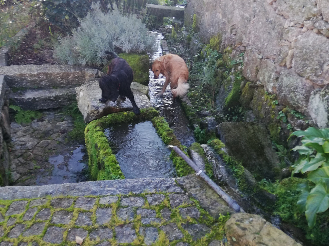 Quinta Pedras de Baixo主图