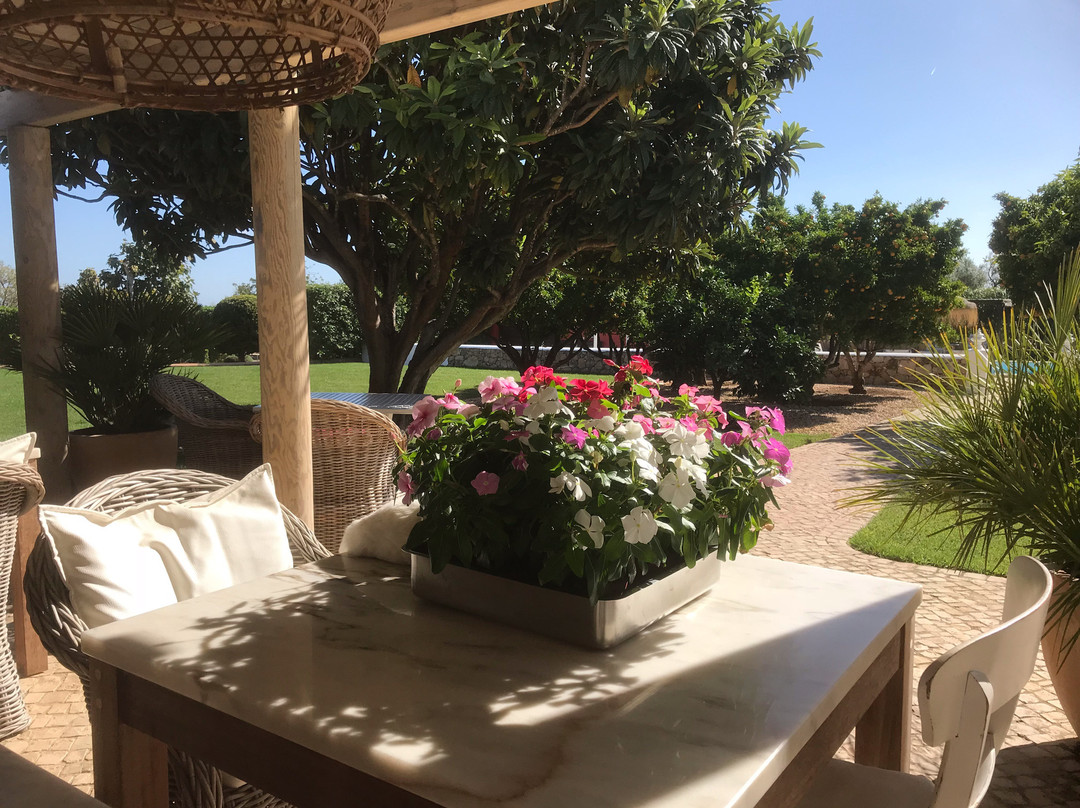 Quinta da Cebola Vermelha主图