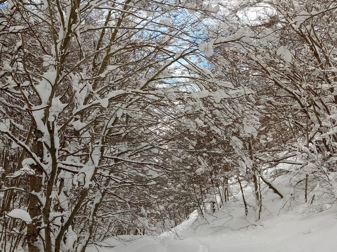 Altopiano delle Cinquemiglia-Rocca Pia必去景点