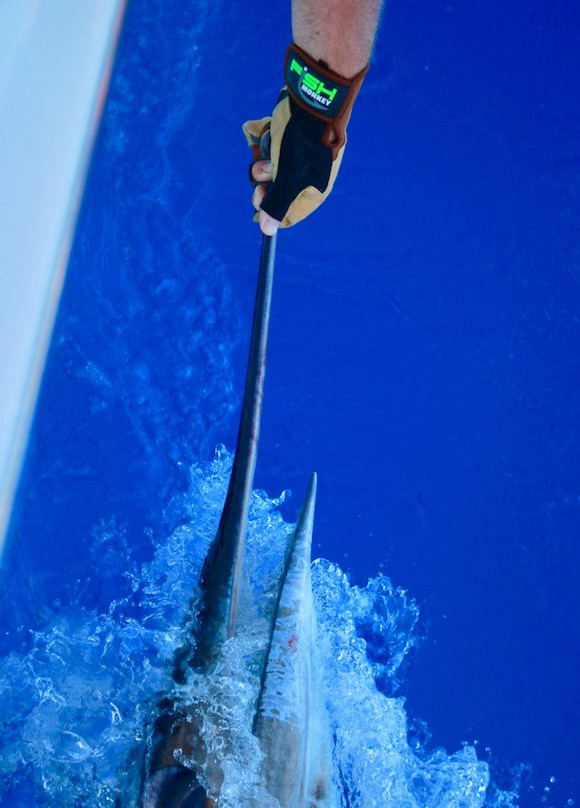 Hotshot Charters-Runaway Bay必去景点