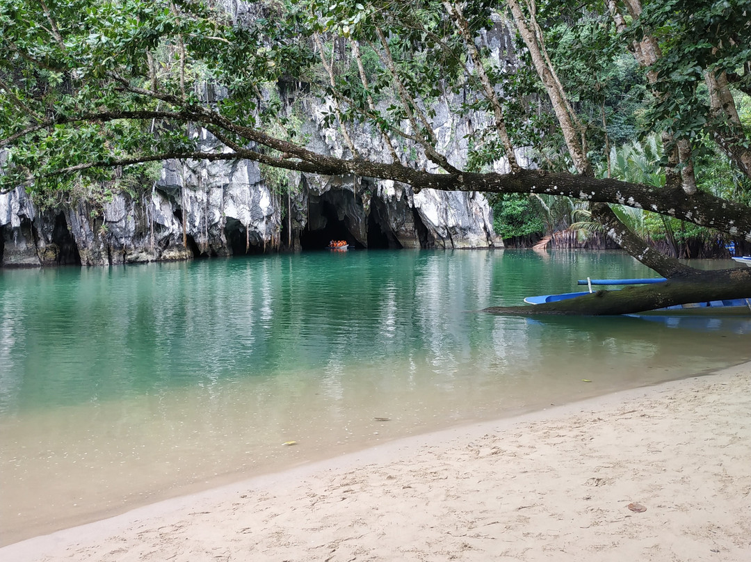 TAGSHACK Shawarma & Kebab
