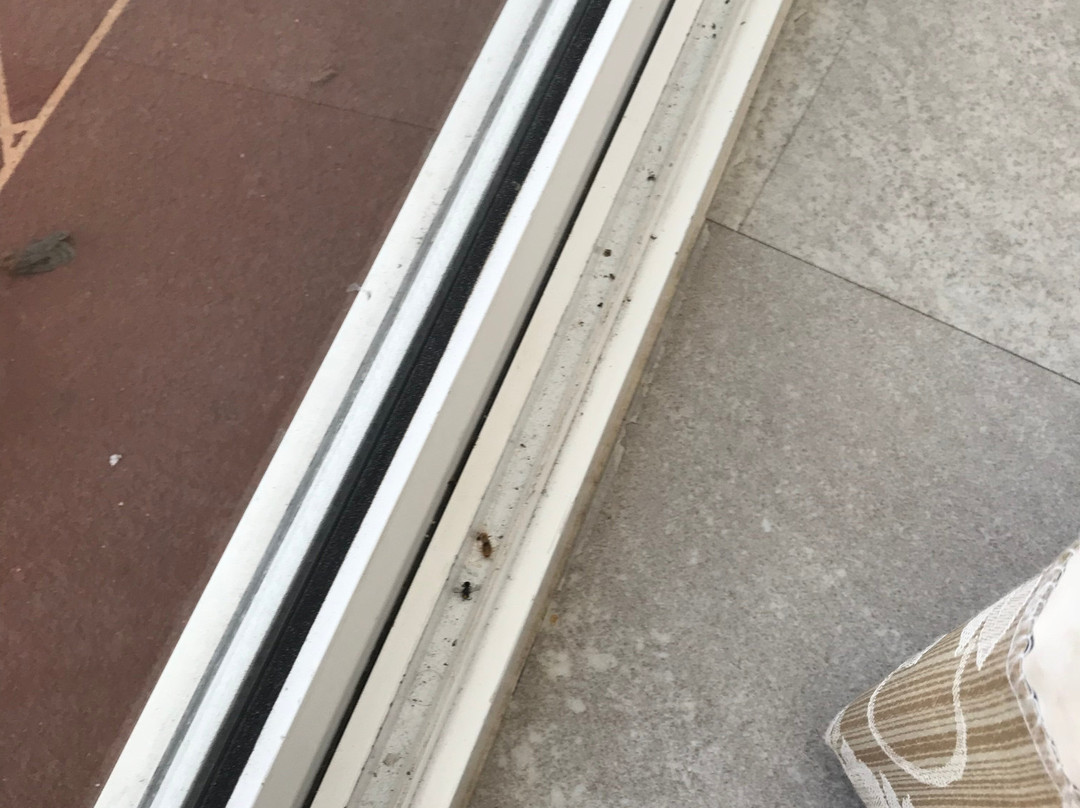 Resort Serviced Apartments - Mandurah主图