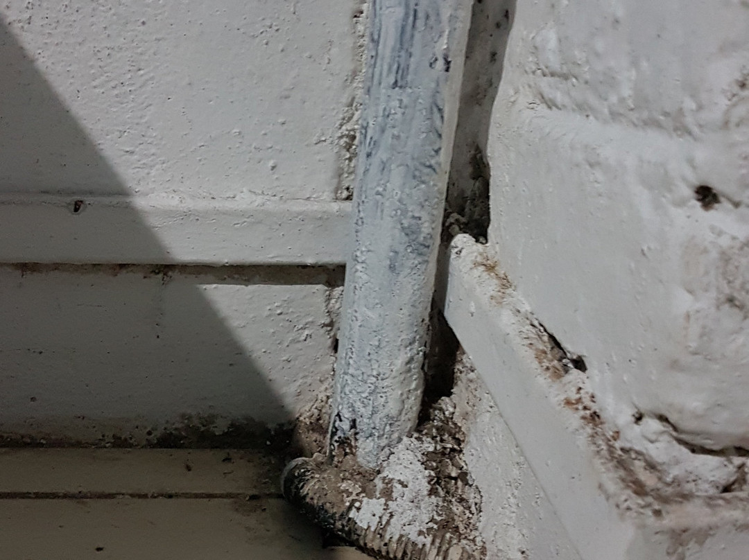 Karjat Meadows Resort主图