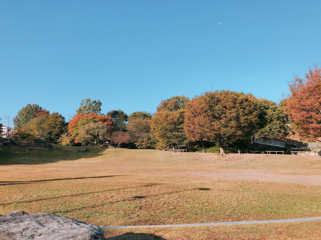 Shimizuzaka Park-北区必去景点