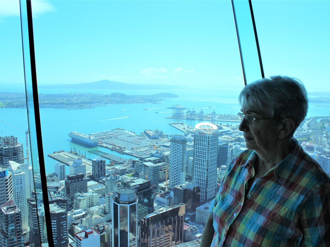 Auckland Explorer Bus景点图片