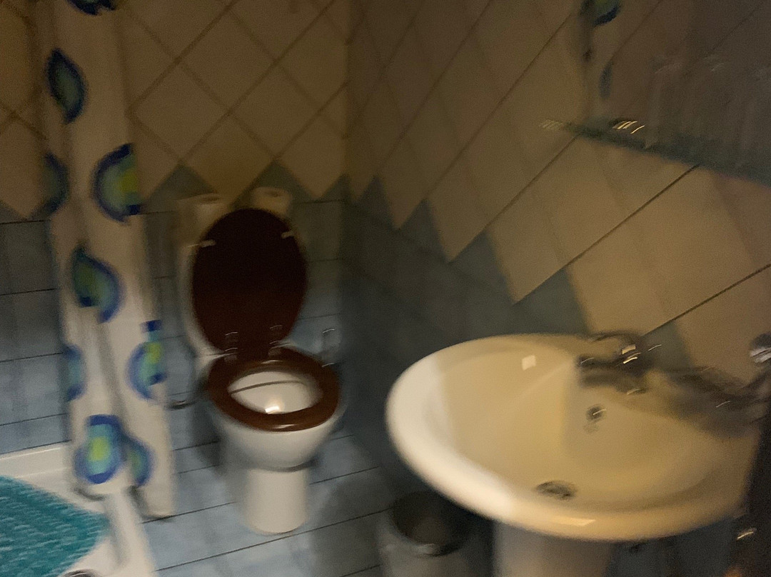 Hani Zemenou主图