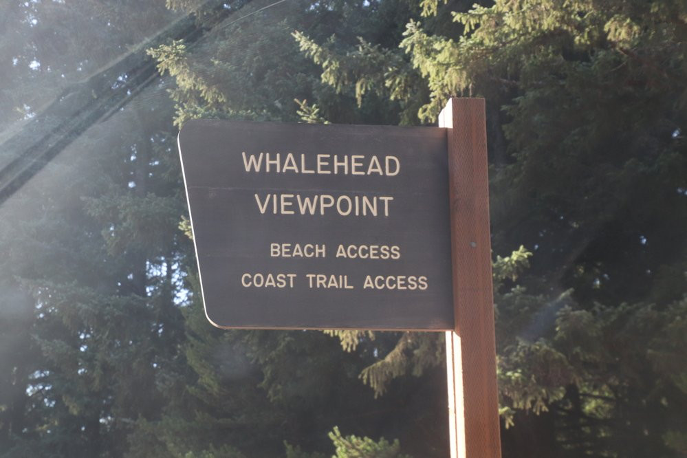 Whaleshead Viewpoint景点图片