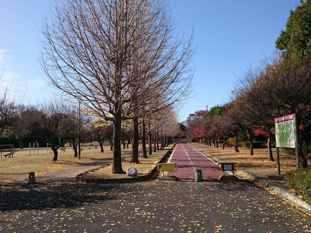 Kumagaya Sakura Sports Park-熊谷市必去景点