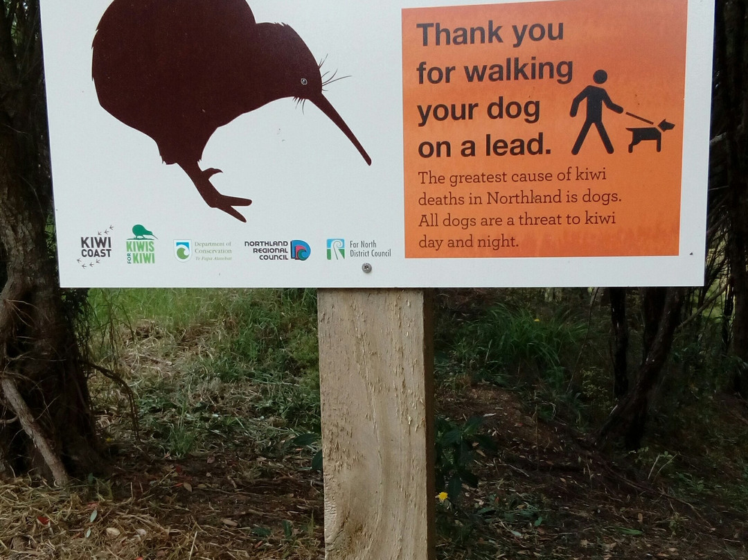 Bay of Islands Coastal Walkway - Okiato to Russell景点图片