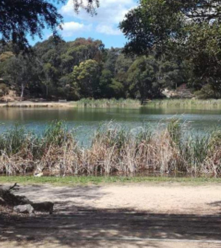 Lake Esmond Botanical Park景点图片