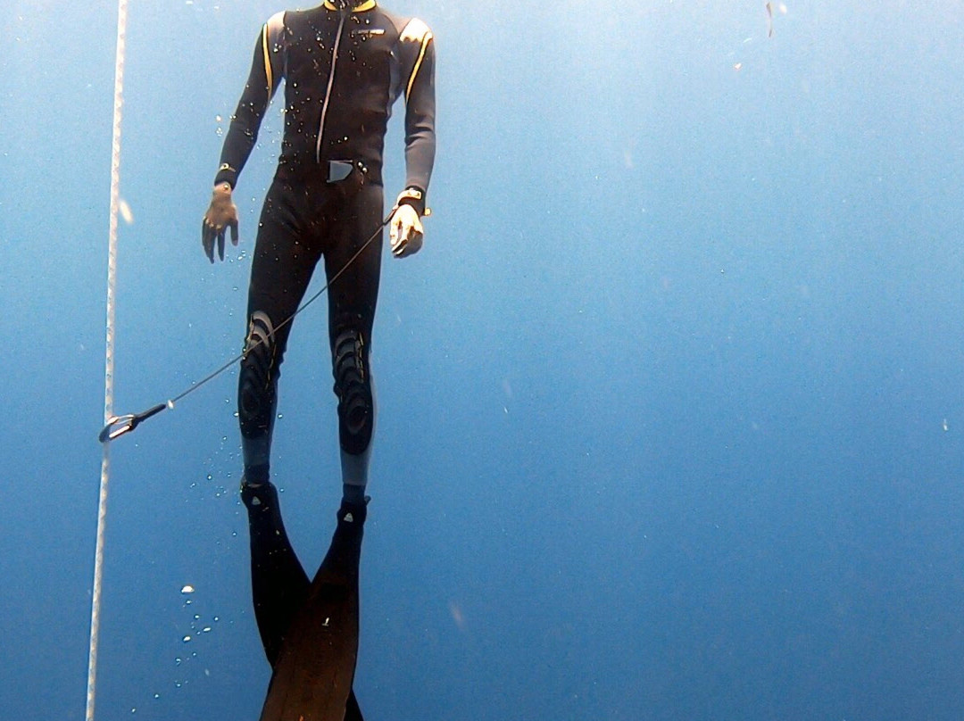 Freediving Planet景点图片