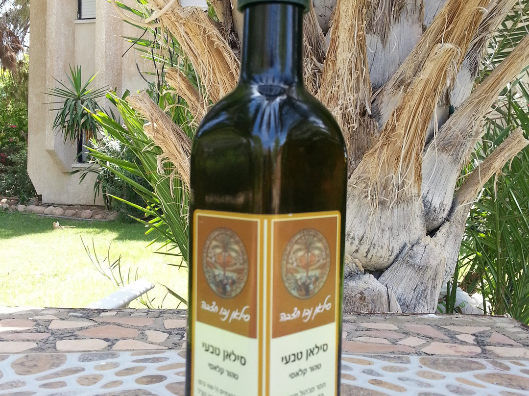 Dana旅游景点-Silan Nevo