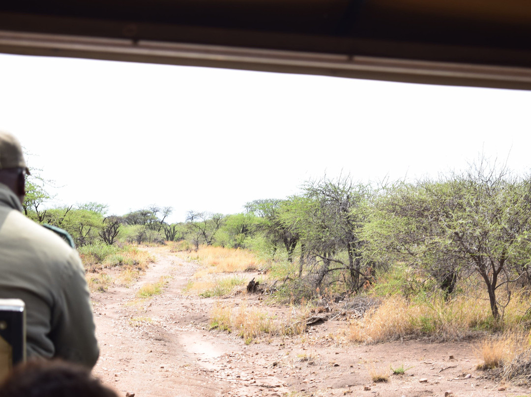 African Tracks Safaris-比勒陀利亚必去景点