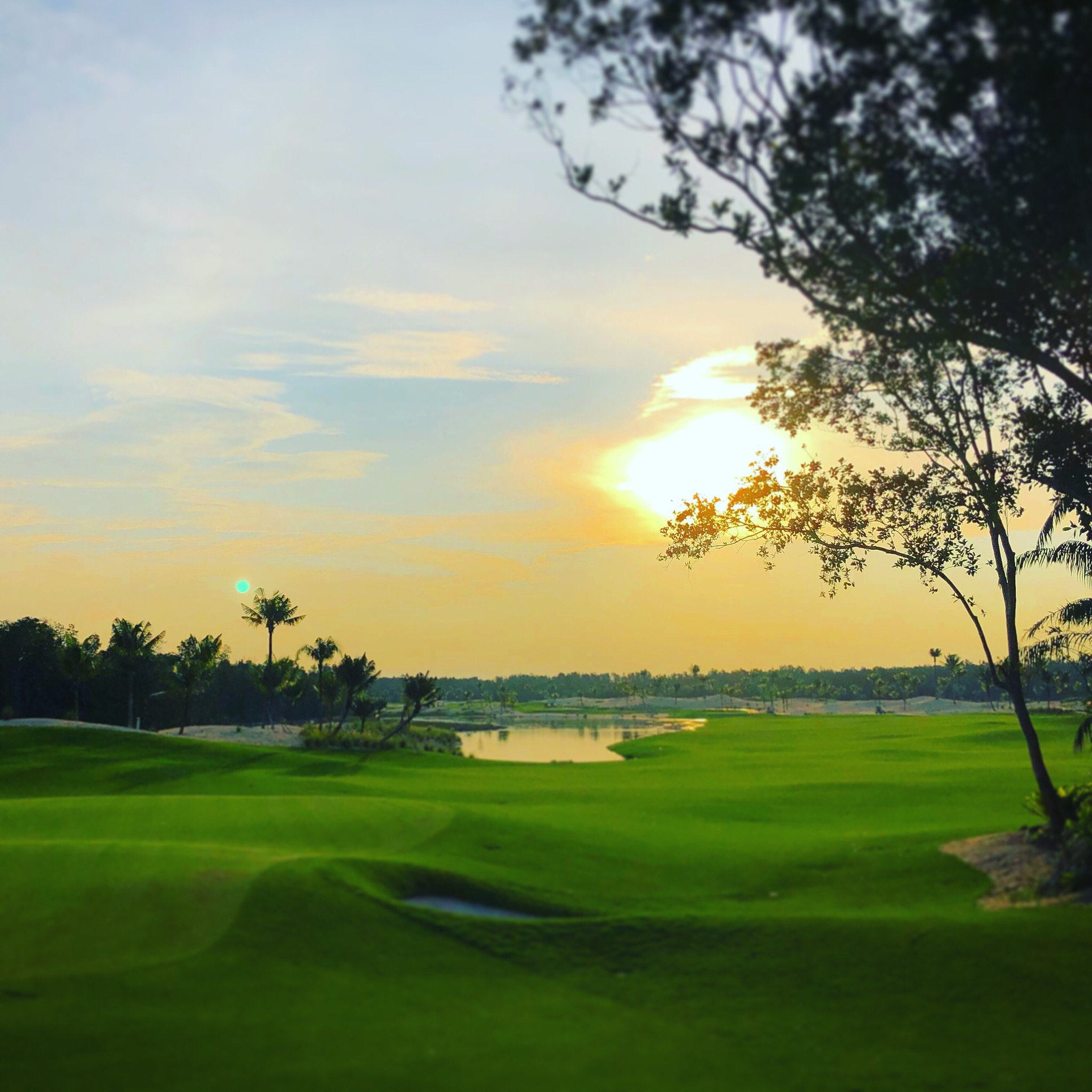 Forest City Golf Hotel-官方