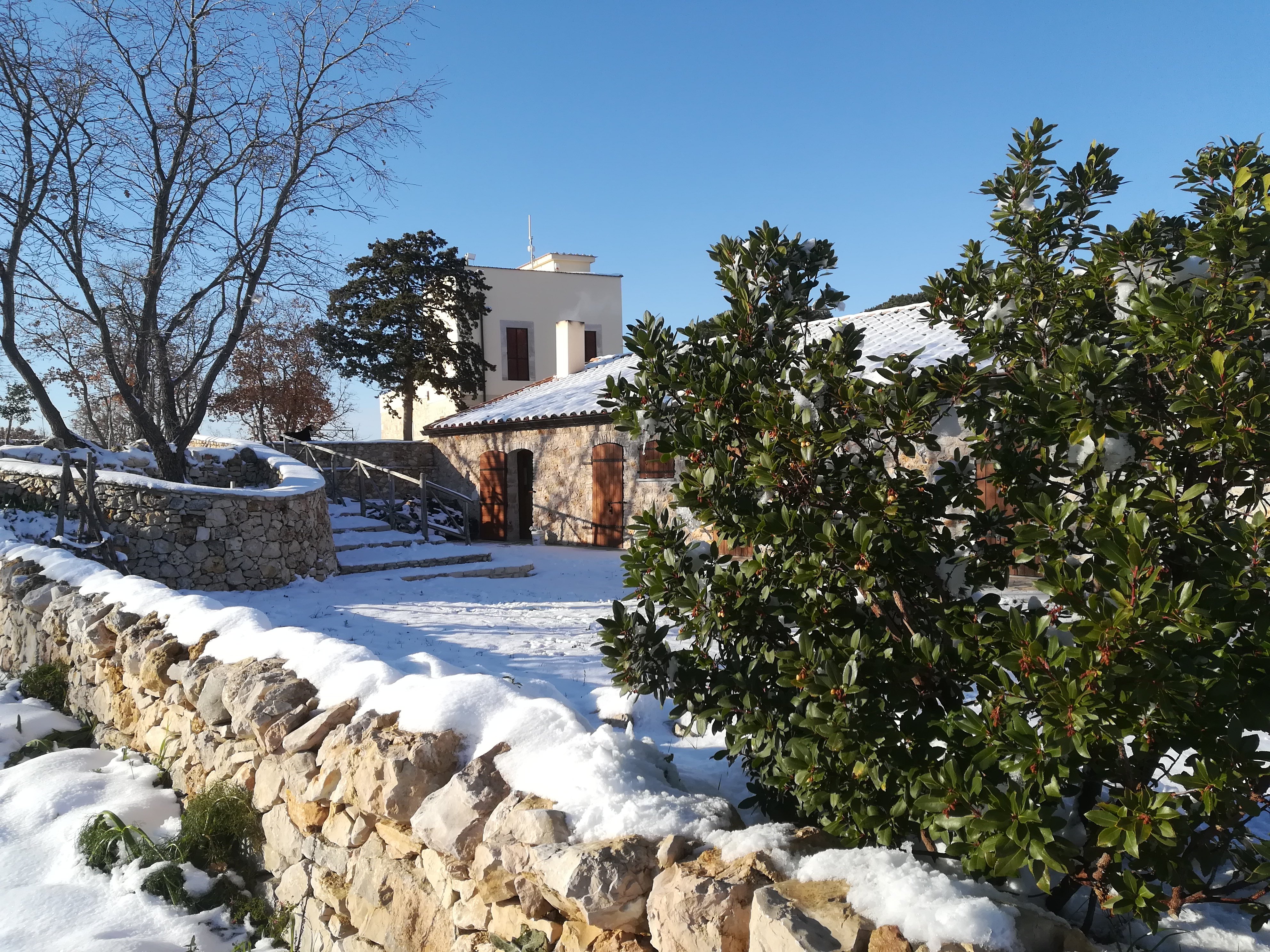 Tenuta Tedone Consolini-官方