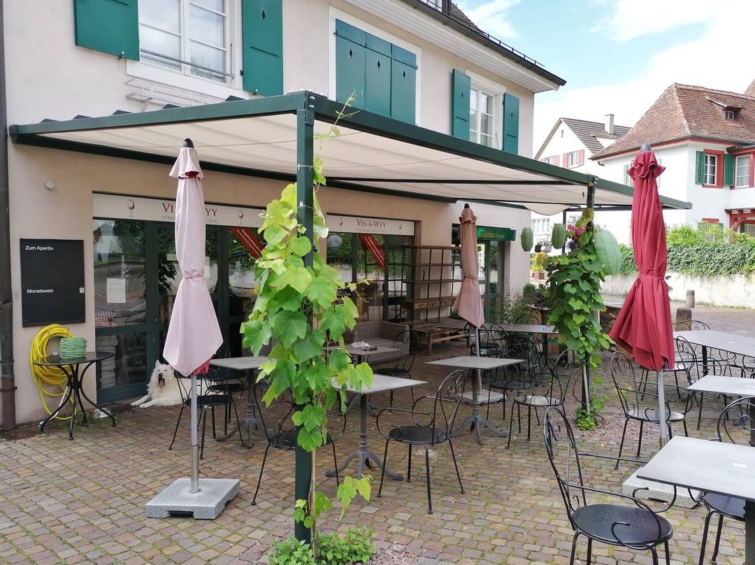 巴塞尔餐馆和美食-Vinothek Vis-à-wyy
