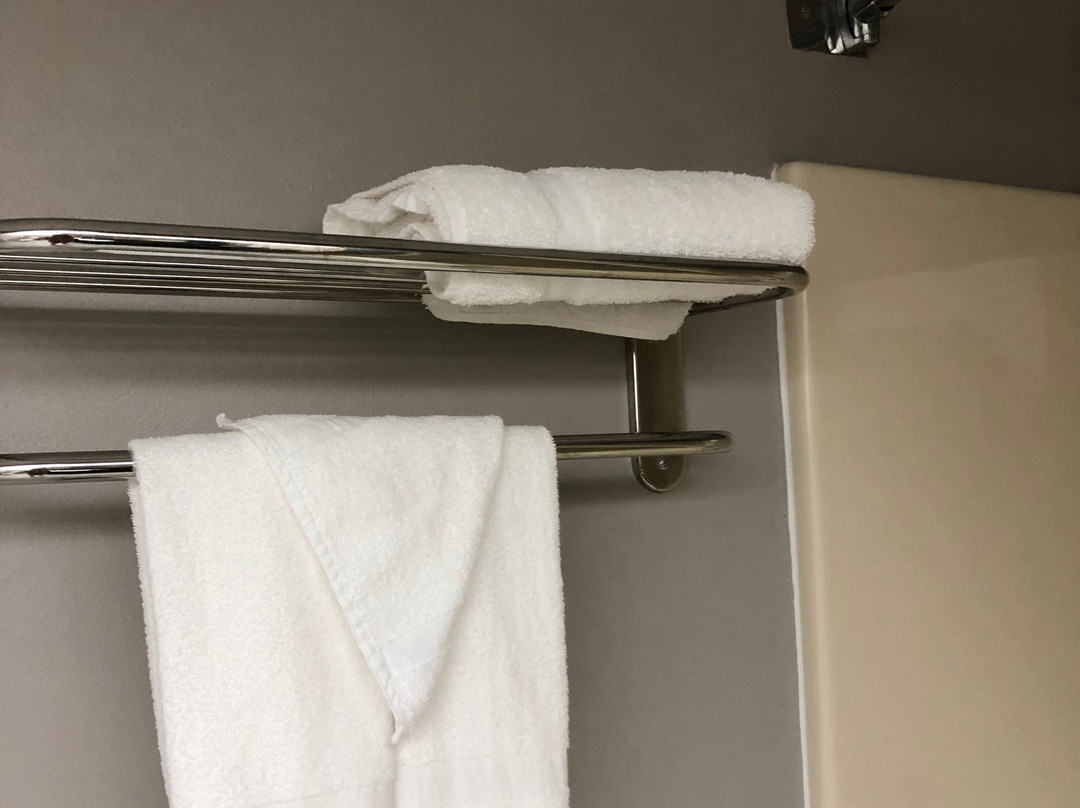 Baymont by Wyndham Smithfield主图