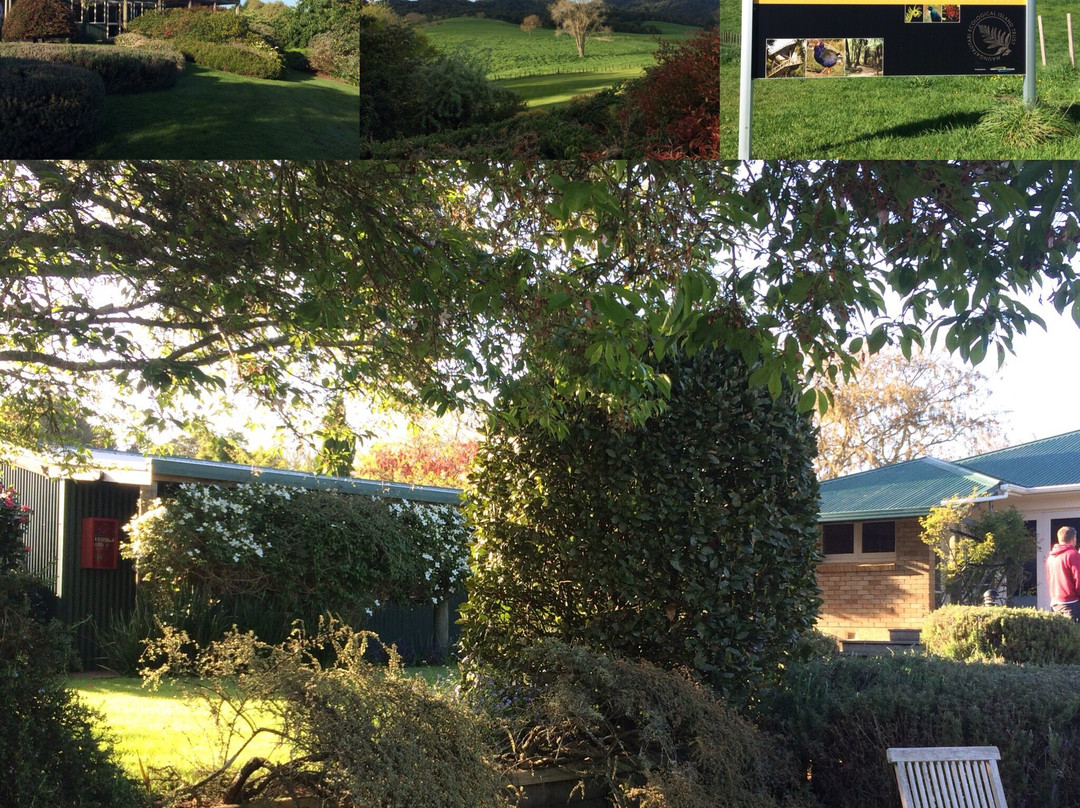 Out in the Styx Guesthouse主图