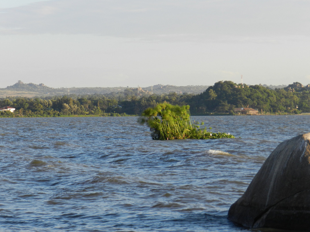 Matvilla Beach Lodge and Campsite主图