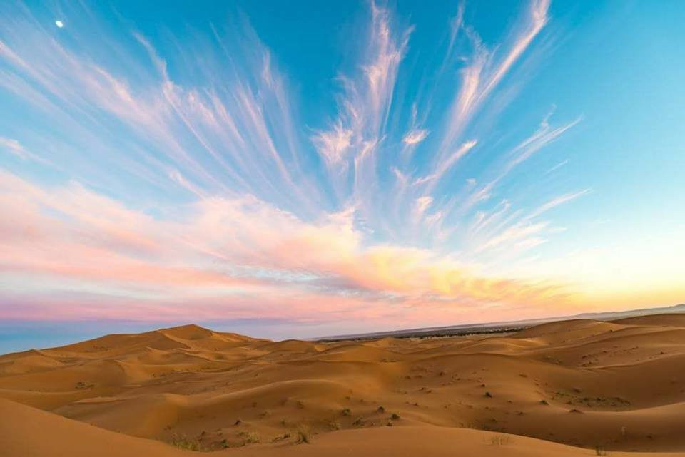 Wilderness Lodge Tours主图