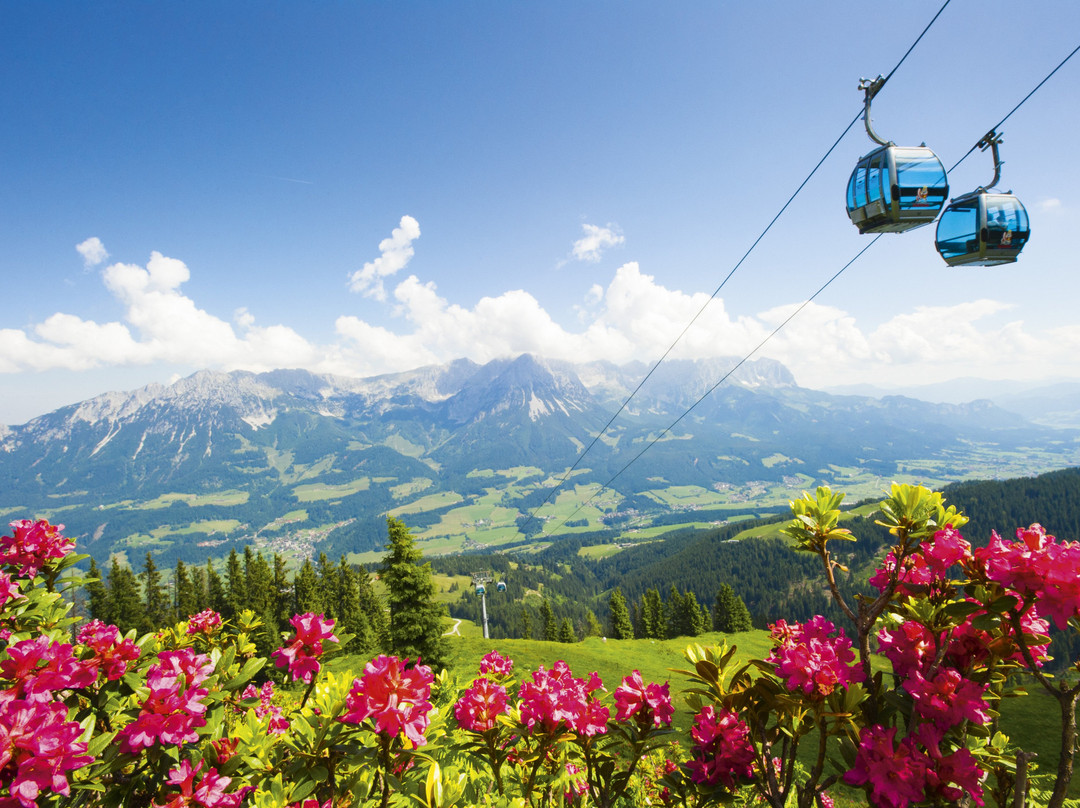 KaiserWelt-雪佛野皇必去景点