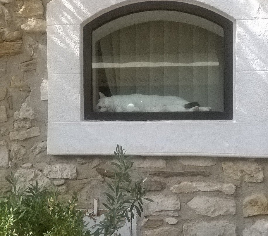 Le Castellet Village Médiéval景点图片