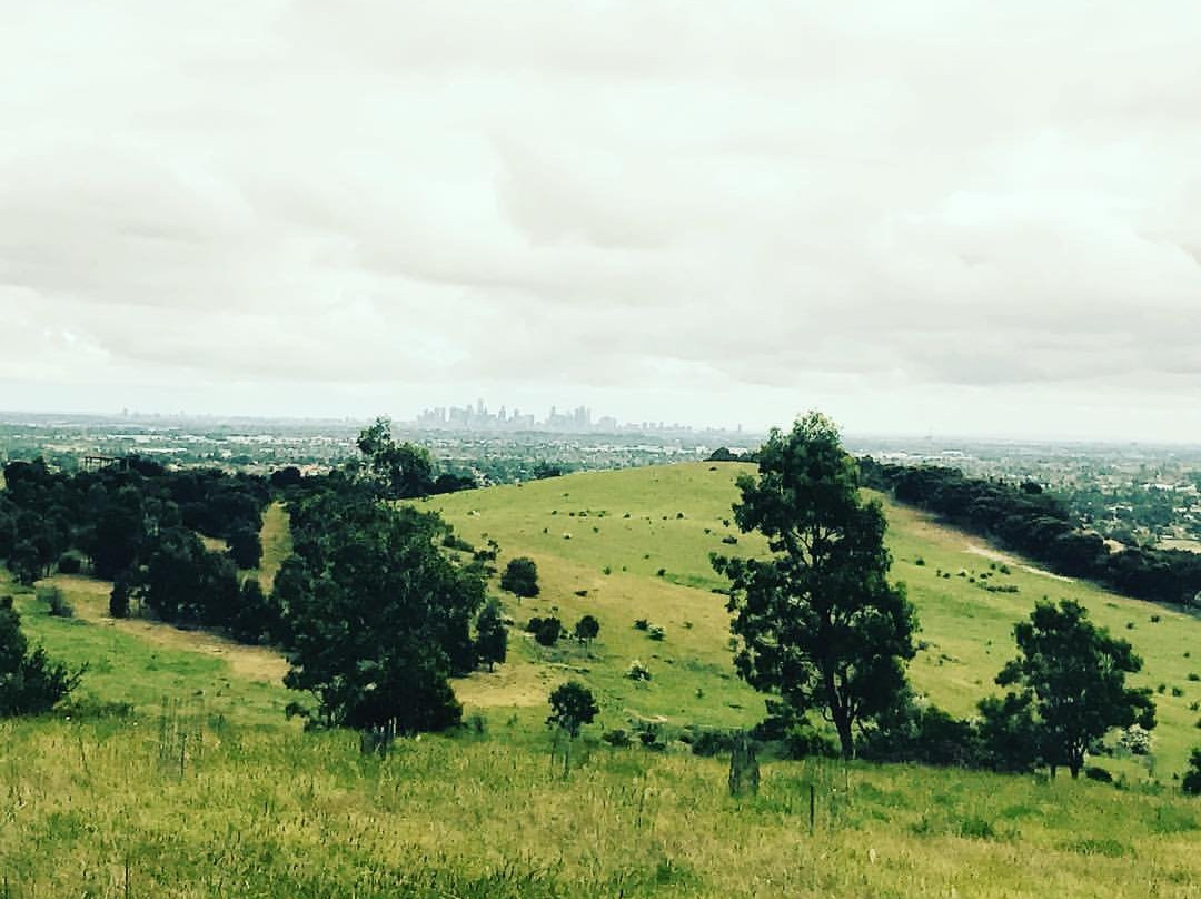 Quarry Hills Bushland Park景点图片